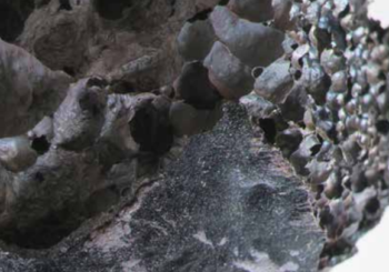 1h , 1 labo, 1 œuvre ou 1 expo –   Mardi 18 Mars 18h30 à la bibliothèque municipale de Mulhouse – Entrée libre